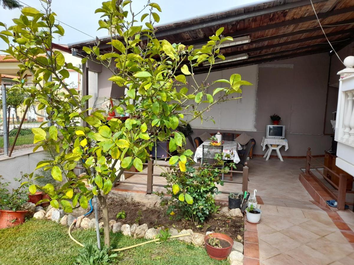 Villa Vangelis 네아 플라기아 외부 사진